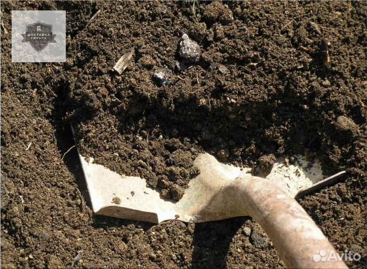 Купить чернозем