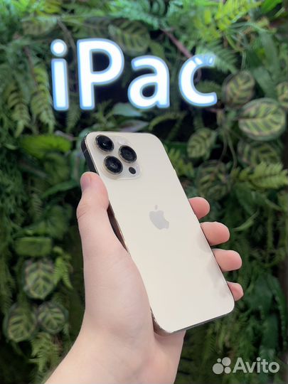 Apple iPhone 14 Pro Max 256Gb Gold новый