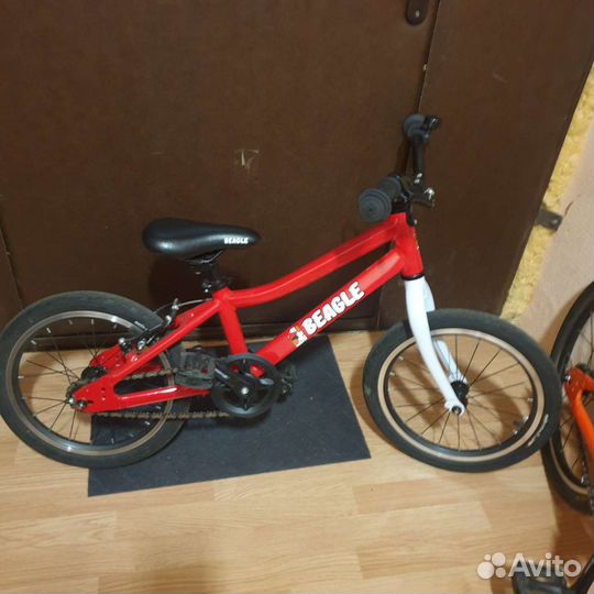 Велосипед beagle 116