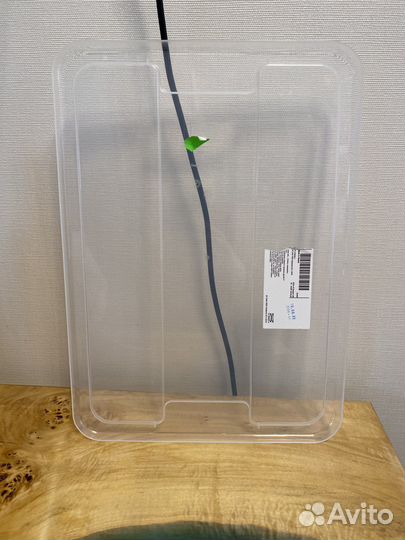 IKEA samla самла крышка для контейнера 11/22 л