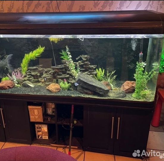 Аквариум jebo 700л