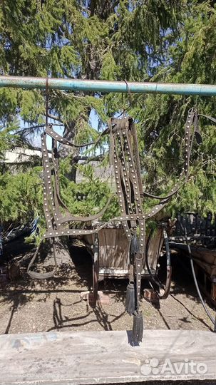 Сбруя для лошади