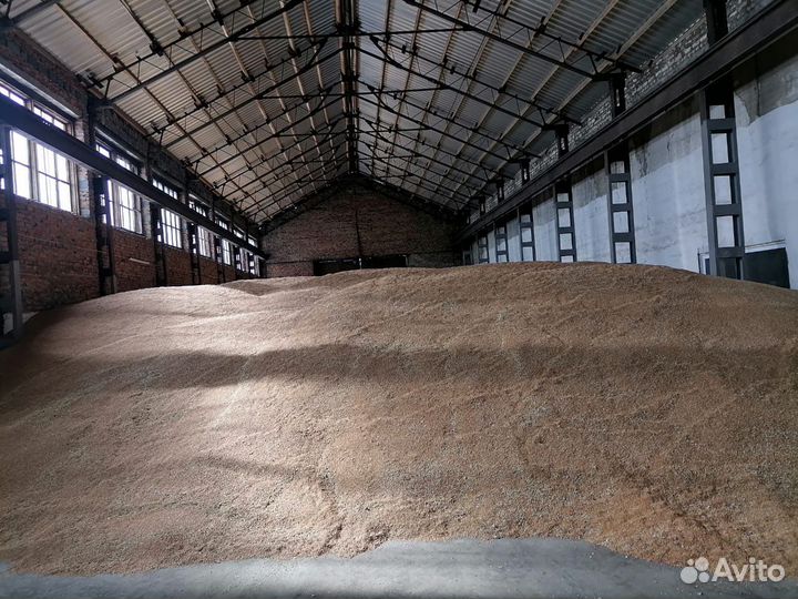 Овес, пшеница,зерносмесь