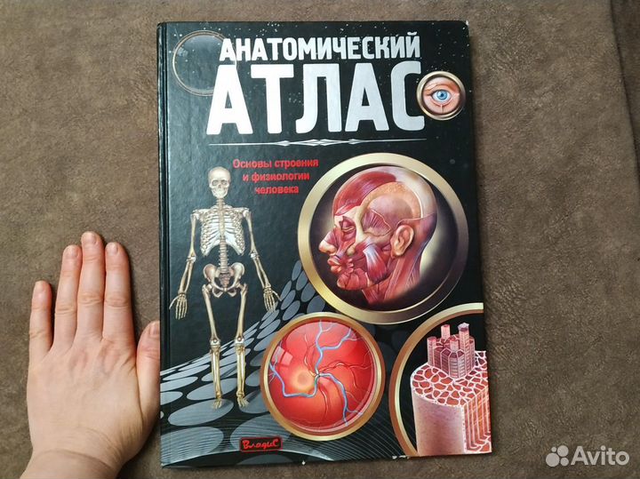 Анатомический атлас