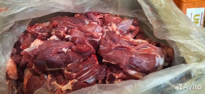 Мясо для собак