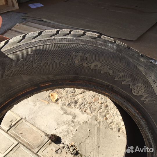 Белшина Artmotion Snow Бел-337 195/65 R15