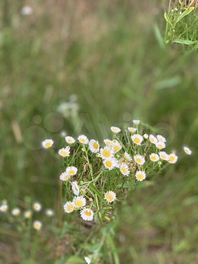 3-к. квартира, 69 м², 1/3 эт.