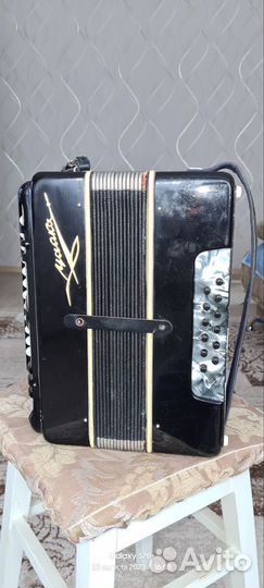 Гармонь чайка