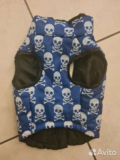 Одежда для маленьких собак бу