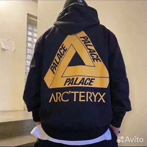 Худи Palace Arcteryx