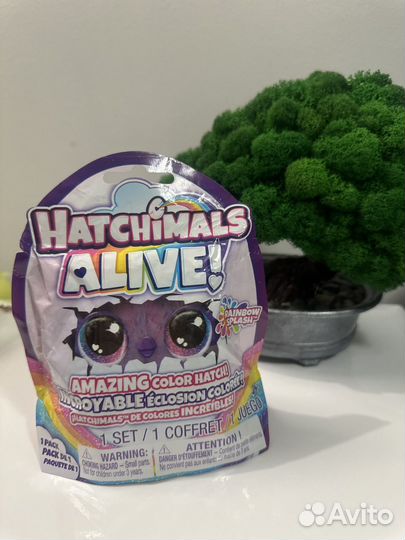 Hatchimals alive