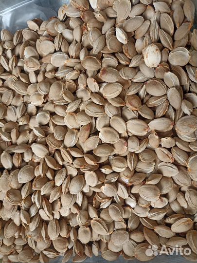 Абрикосовые косточки