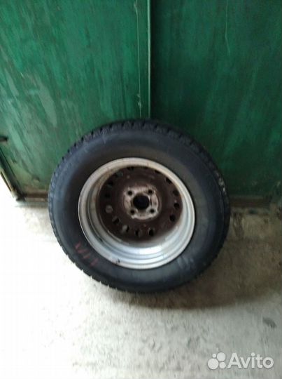 Bridgestone Blizzak DM-V1 175/70 R13 26M