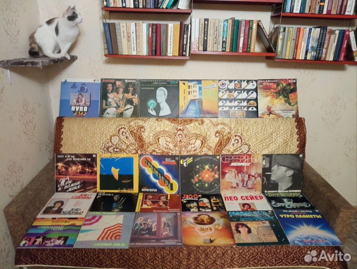 Виниловые пластинки