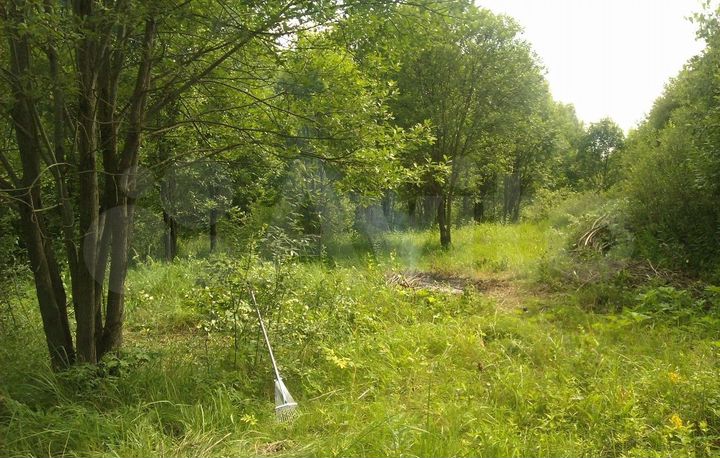 Участок 20 сот. (СНТ, ДНП)