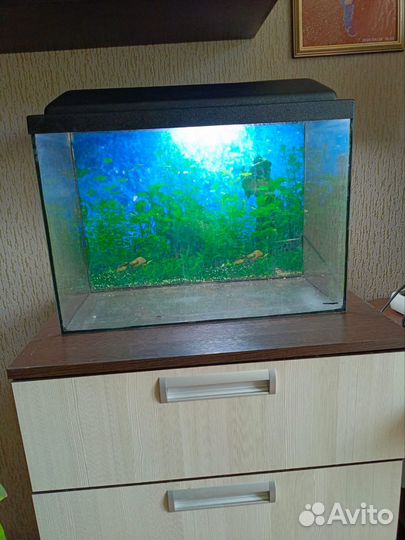 Аквариум