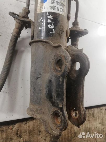 Амортизатор передний правый Kia Cerato 2 (TD) 2009