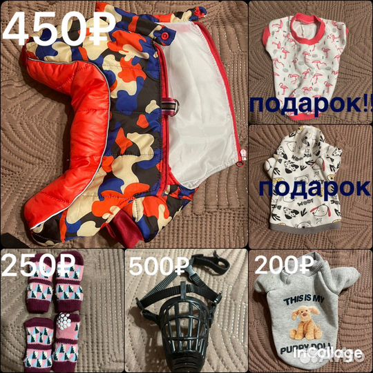 Вещи для щенков