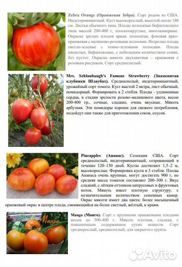 Томат Черная Красавица и другие семена Каталог