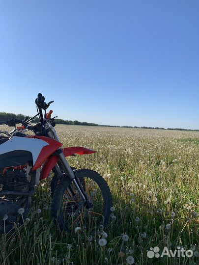 Irbis TTR250A