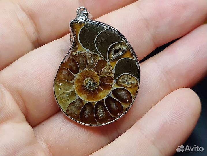 Аммонит кулон