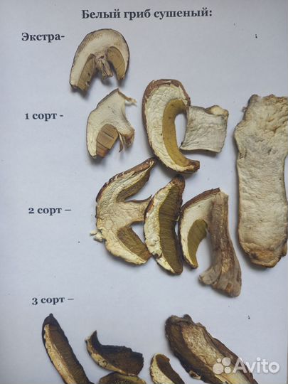 Грибы белые сушеные