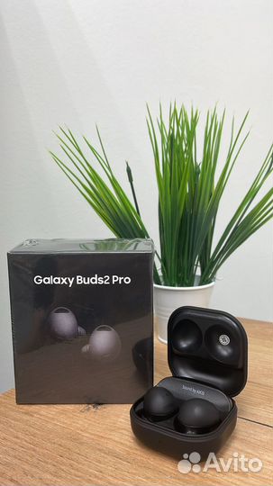 Samsung galaxy buds 2 pro