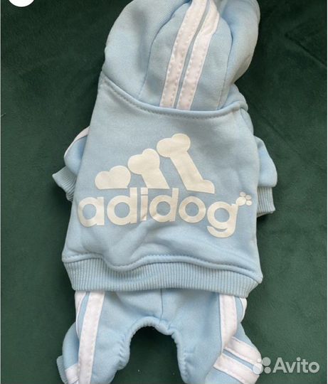 Одежда для животных