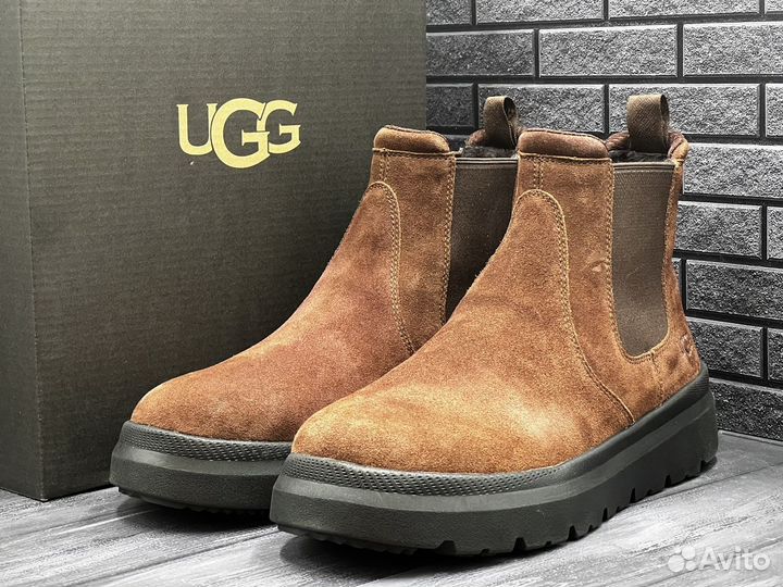 Ботинки Мужские Угги UGG Burleigh Chelsea