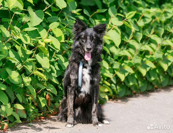 Малыш в беде