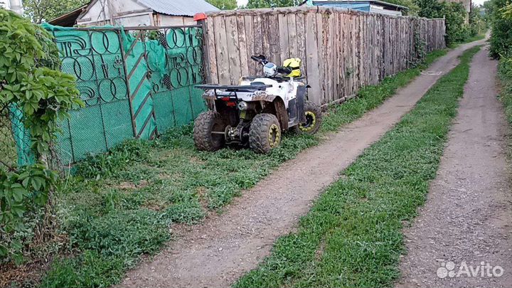 Avantis hunter 200 или обмен на квадроцикл
