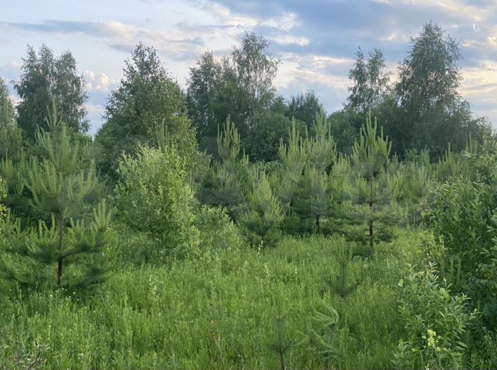 Участок 6 сот. (ИЖС)