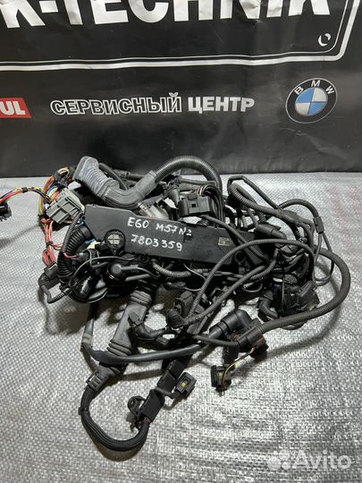 7803359 Проводка двигателя BMW E60 M57N2