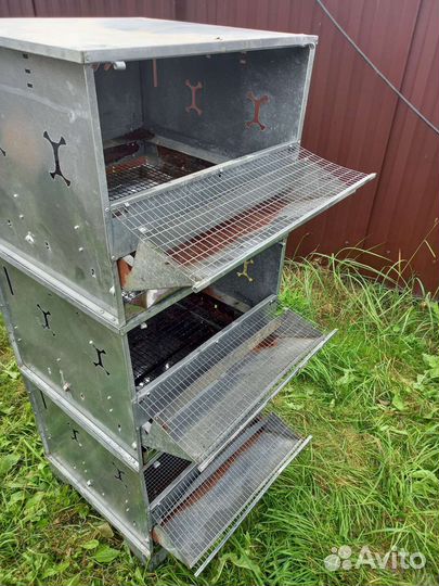 Перепелиные Клетка