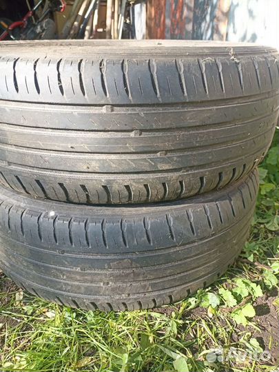 Nokian Tyres Nordman SX2 175/65 R14