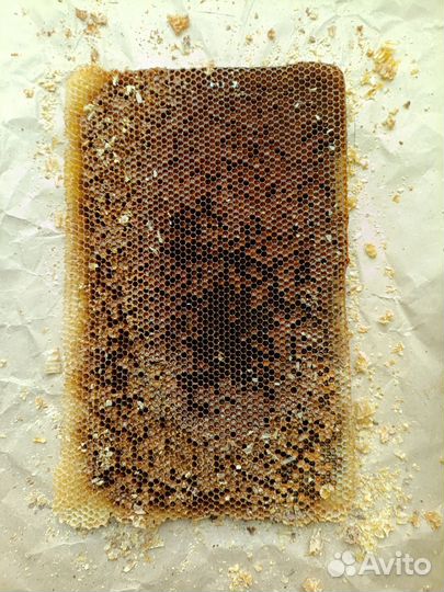 Красота и здоровье