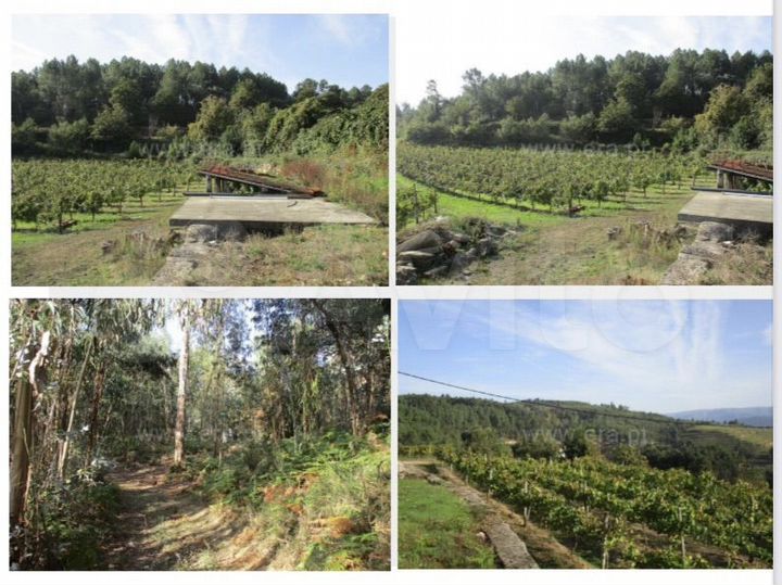 Производство 170000 м² (Португалия)