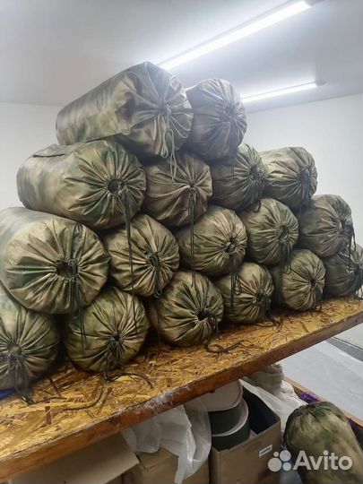 Спальный мешок