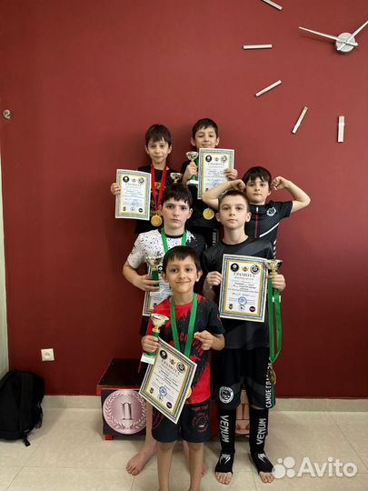 Смешанные единоборства