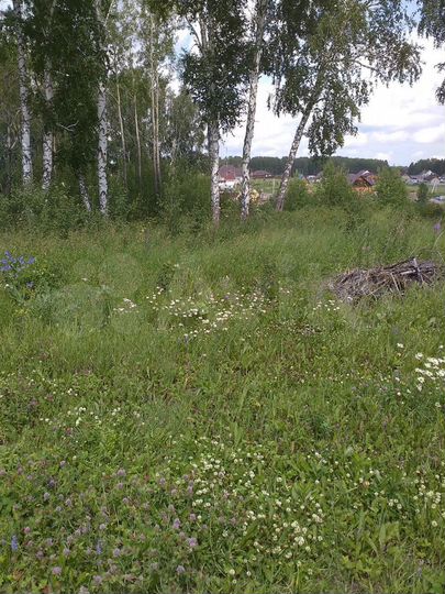 Участок 20,4 сот. (ИЖС)