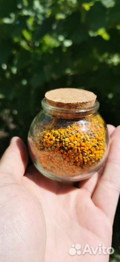 Пыльца цветочная