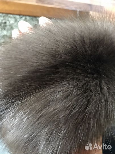 Шкуры куницы лесной