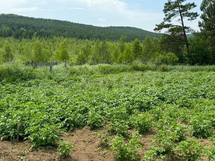 Дом 67,1 м² на участке 35 сот.