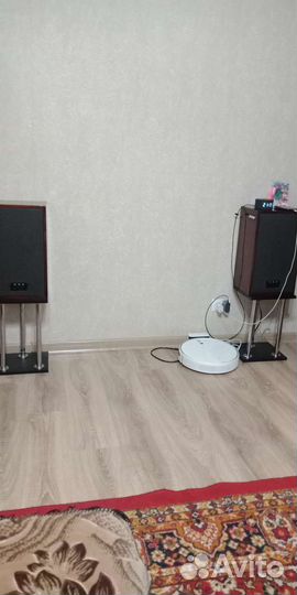 Акустика 25ас-302