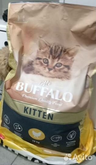 Сухой корм для котят buffalo