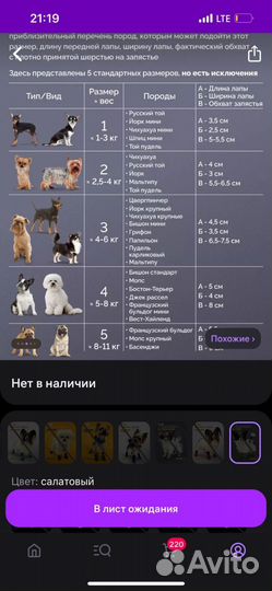 Сапожки зимние для собачки