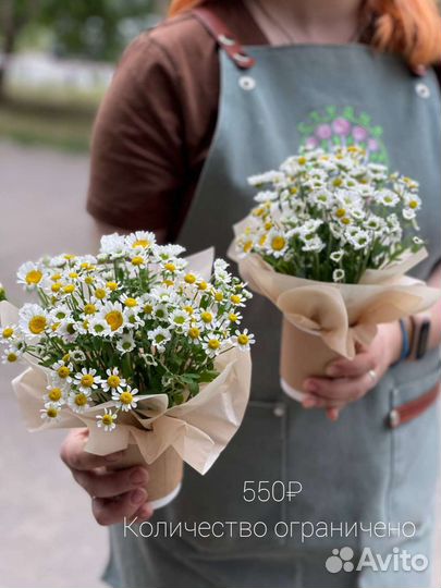 Букет ромашек доставка цветов