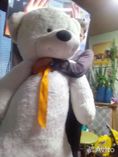 Большие плюшевые медведи