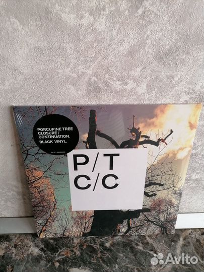 Porcupine Tree 