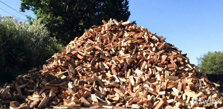 Дрова с Приморска